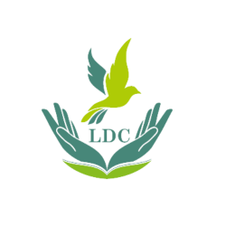 Liberty Dream Care Overseas Study And Placement Limited